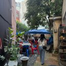 광명사안경 이미지