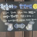 전주동물원 | 전주 동물원에서 힐링 데이트, 겨울 전주 동물원 관람 후기