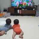 용해지 이미지