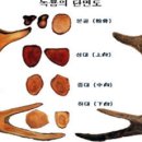 대성목장2 이미지