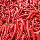 상원농장 이미지