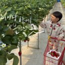 장스아이스크림 이미지