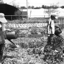 미현농장 이미지