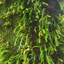 도반농장 이미지