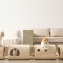 디자인두잇
