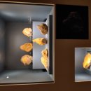 조선대학교 박물관 이미지