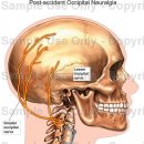 세종시365으랏차한의원 이미지