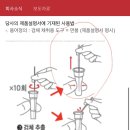 온율약국 | 레피젠 코로나 자가검사키트 사용법, 사용후기