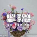 꽃모아