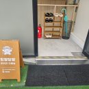 털빨샵 | 수원애견미용 멍빨털빨 이용후기