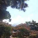 소쇄원(주차장) Daum카페