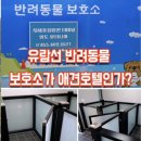 주식회사 지세포관광유람선 | [거제] 애견동반 외도 보타니아 지세포유람선 후기