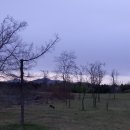 미단중앙로 이미지