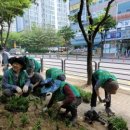 동백고등학교 이미지