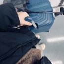 이삭푸드서비스대구가톨릭대학교기숙사점 | 🔥 밀린 2학년 1학기 일상 (1/2)