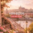 크루즈민박 | 디어 마이 프라하 한인민박 체코 신상 감성 숙소 추천