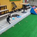 하우디오픈하우스
