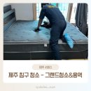 [제주청소] 아이와 함께 사용하는 침대 - 그랜드청소 이용 후기