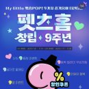 하이펫츠 | 강아지 사료 추천 쏘울메이트 에어드라이 비프 급여 후기 / 펫츠홈 9주년 행사