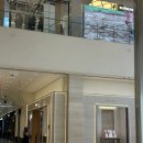 (주)팬더8 | 제품 ʀᴇᴠɪᴇᴡ | 대전신세계 ᴀʀᴛ&amp;sᴄɪᴇɴᴄᴇ 까르띠에 팬더 드 까르띠에 구매 후기