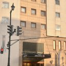 메디칼city | 🇯🇵 EP.03 아오모리 여행 | 가성비 호텔 Hotel JAL CITY 숙박 후기