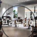 브래뉴헤어