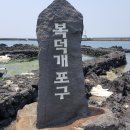 (6월17일)제주올레 15-B코스(한림항~대수포구~한수풀해녀학교~귀덕1리어촌계복지회관~곽지과물해변~한담해안산책로~애월초~고내포구) 2 이미지