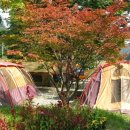 이지농장 이미지