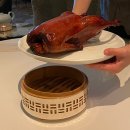 레스테호텔 | 광화문 | 유유안 | 포시즌스 서울