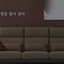 수입브랜드 죽동점 이미지