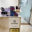 VIP동물의료센터 동대문점 | 강아지 구토,음식 거부 진료 후기, 진료비 - VIP동물병원 동대문점 (장안동 동물병원)