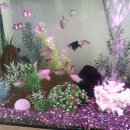 굿모닝유치원 이미지