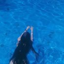 모링모링 이미지