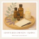 [강의 후기] 꿀잠 &amp; 코뻥 아로마 - 큐리어스
