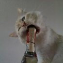 부동산투자모임 이미지