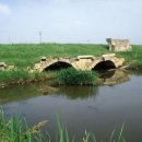 미내다리 이미지