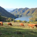 순배농장 이미지