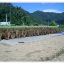 태기산농장 이미지