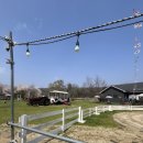 여주목장 이미지