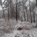 언별1리 이미지