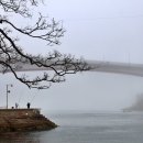 초양선착장 이미지