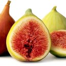 한곤메마을 이미지