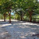 백운계곡캠핑장 이미지