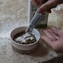 우리집 막둥이 | 강아지설사엔 - 3일간의 기적 장건강우리집막둥이유산균