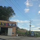 풍천뻘장어 이미지