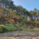 자포경로당 이미지