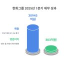 ㈜태양광솔루션 | &#34;한화솔루션의 3조원 미국 투자, 중국 공백 속 태양광 시장 주도권 잡나