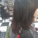 헤어카페Y