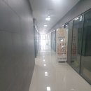 문캣네일 네이버블로그