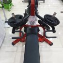 와이지스포츠센터(일산PT;EMS;킥복싱;무에타이;스쿼시;헬스) | 일산PT 일산 무에타이 일산 킥복싱은 YG스포츠 센터 대한 킥복싱협회 전문체육관